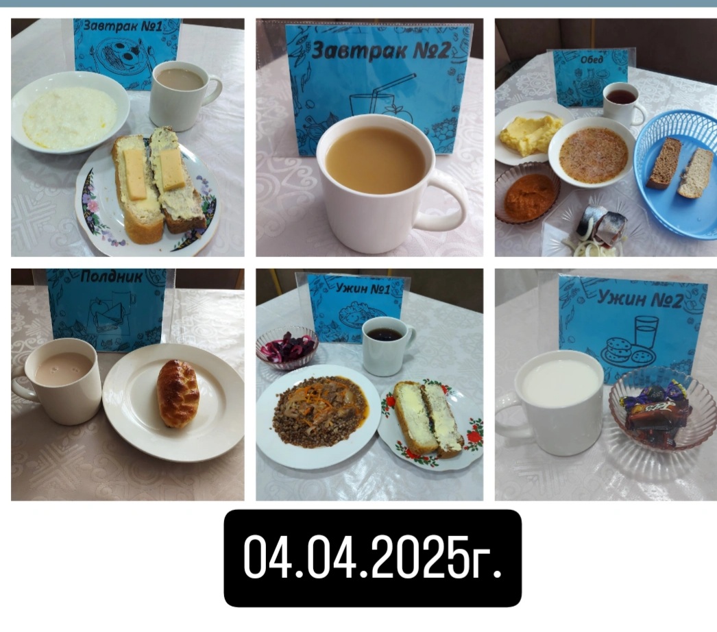 фото отчет 04.03.2025г.»